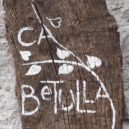 Ca Betulla Willa Novate Mezzola Zewnętrze zdjęcie